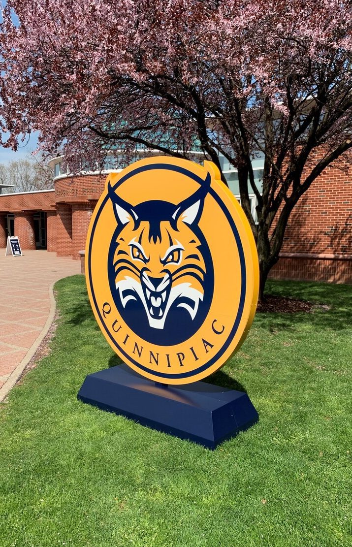 Bobcat equipment photo